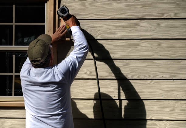 Affordable Siding Repair and Maintenance Services in Allendale, MI