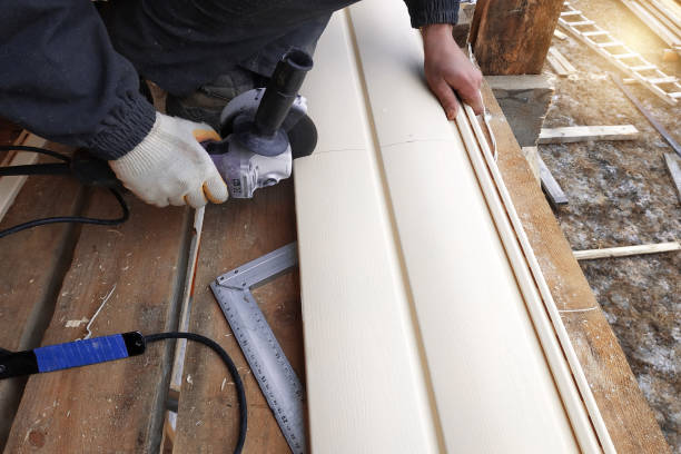 Best Siding Painting and Refinishing  in Allendale, MI